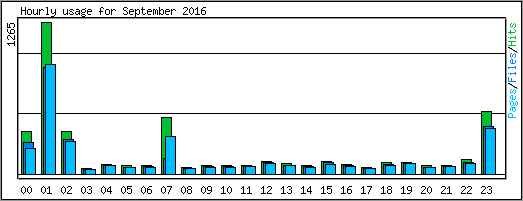 Hourly usage