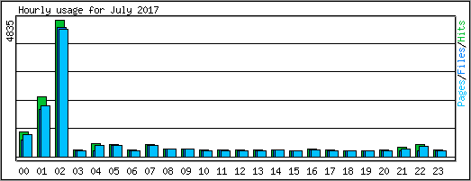 Hourly usage