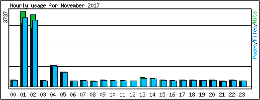 Hourly usage