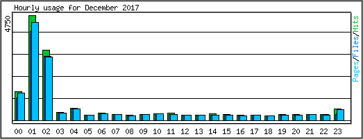 Hourly usage