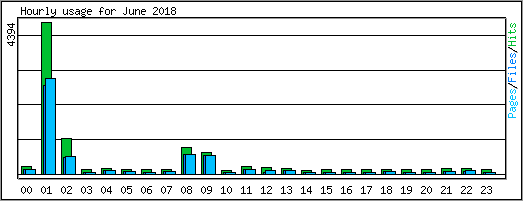 Hourly usage