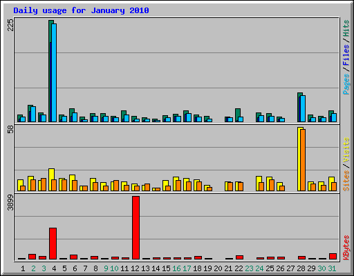 Daily usage for January 2010