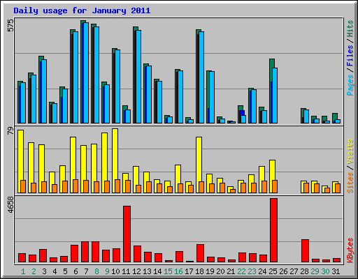Daily usage for January 2011