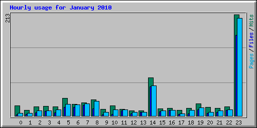 Hourly usage for January 2010